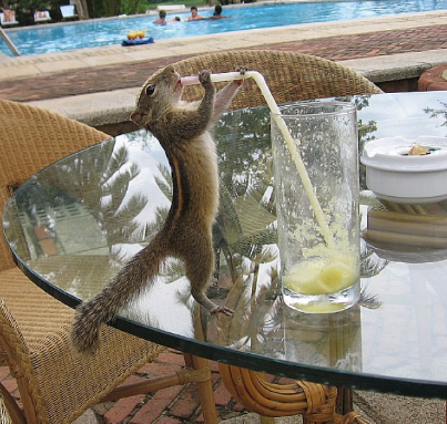 Bildschirmfoto 2014-06-28 um 20.00.55