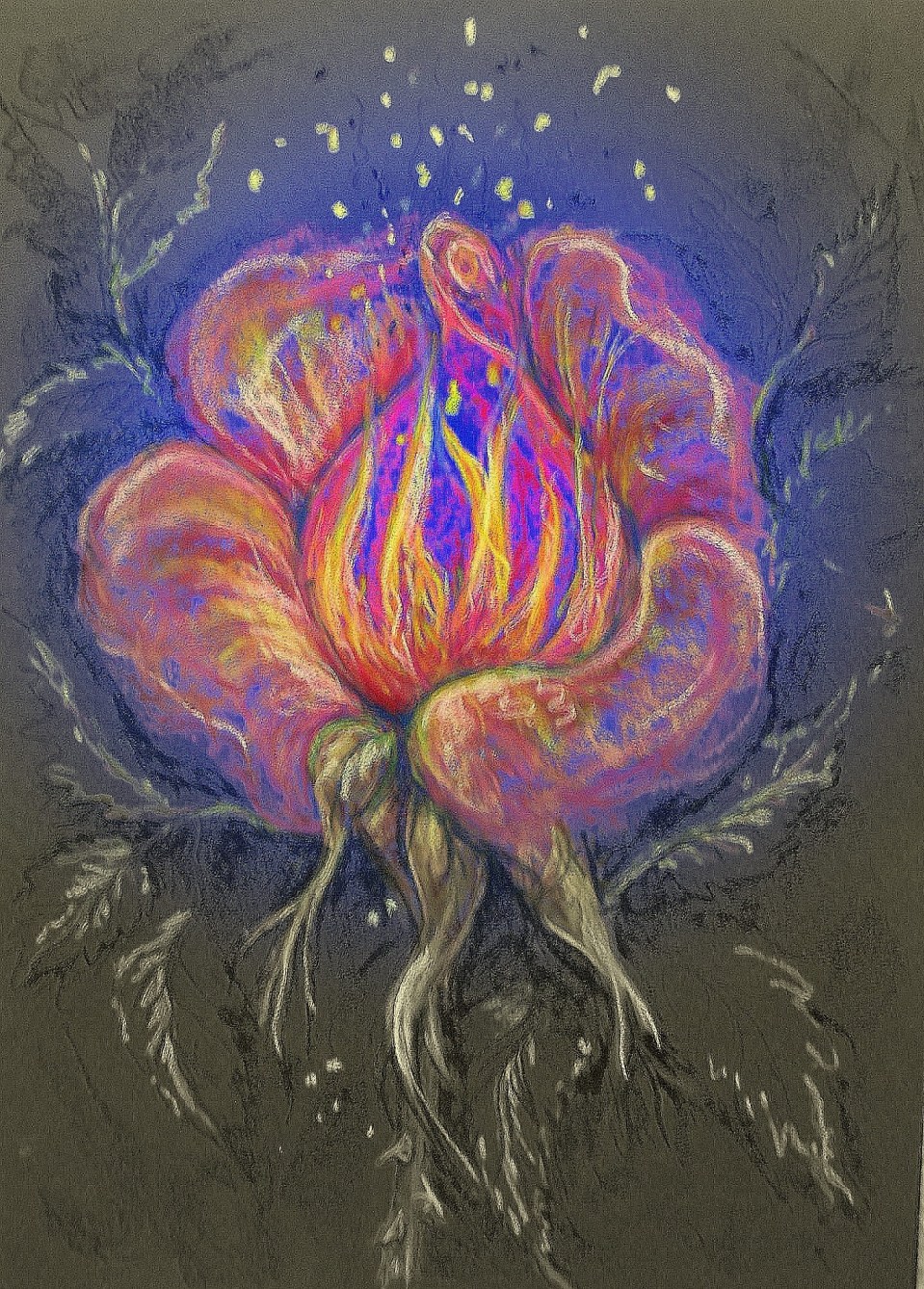 Feuerblüte Gartenamsel