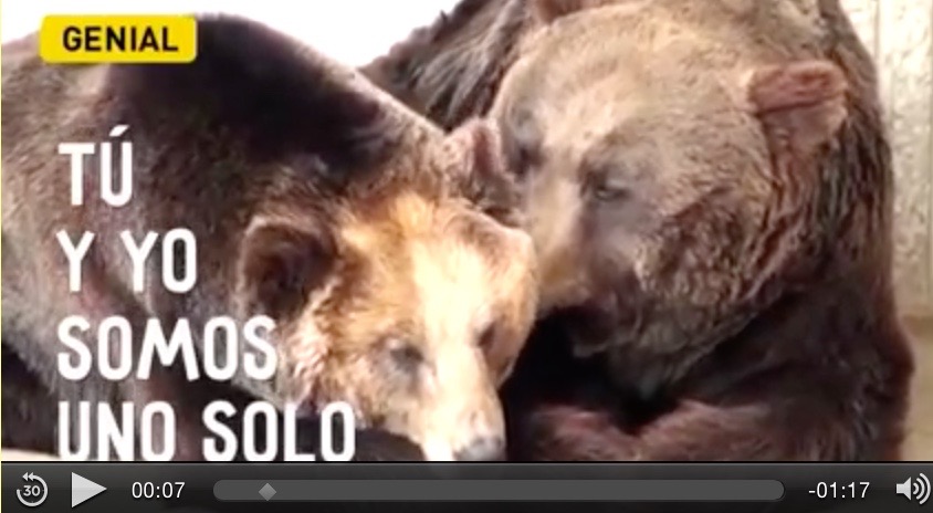 Bildschirmfoto 2016-07-02 um 19.35.05