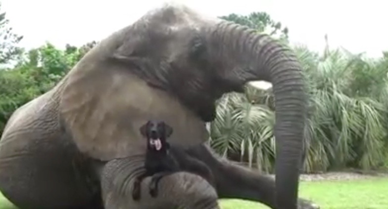 Bildschirmfoto 2016-07-02 um 19.38.18