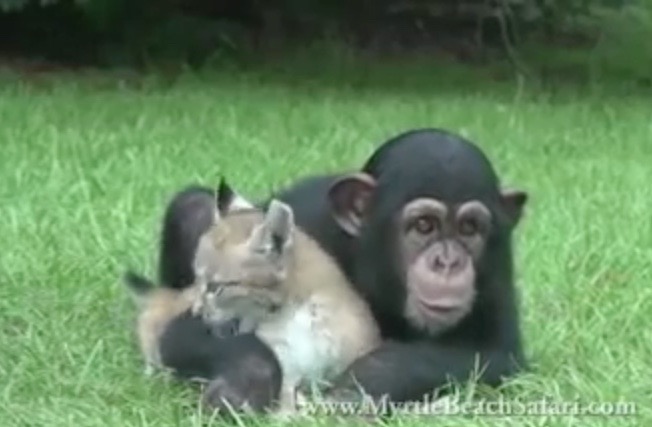 Bildschirmfoto 2016-07-02 um 19.38.30