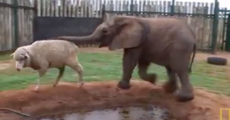 Bildschirmfoto 2016-07-02 um 19.39.14