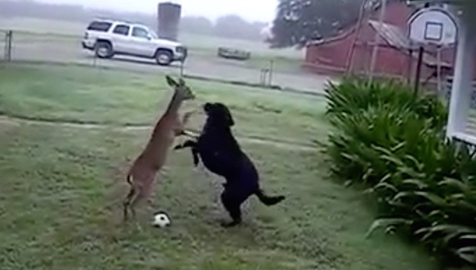 Bildschirmfoto 2016-07-02 um 19.39.31