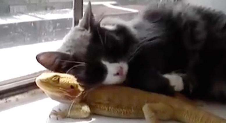 Bildschirmfoto 2016-07-02 um 19.39.47