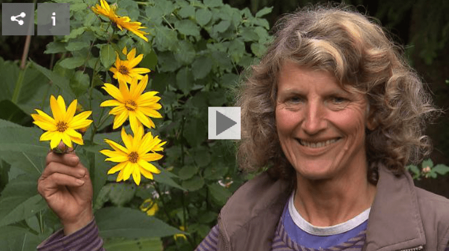 die-extrem-gartnerin