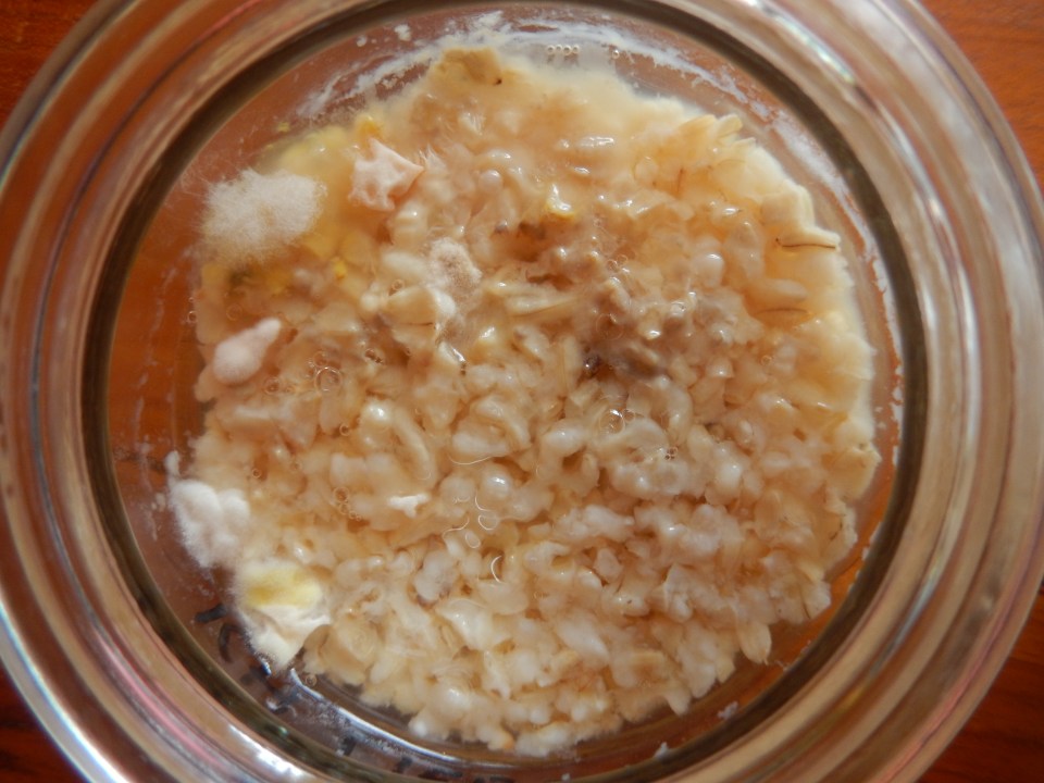 Reis Versuch Tag 10 Neutral