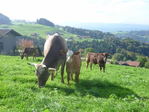 Bei Mama bin ich sicher